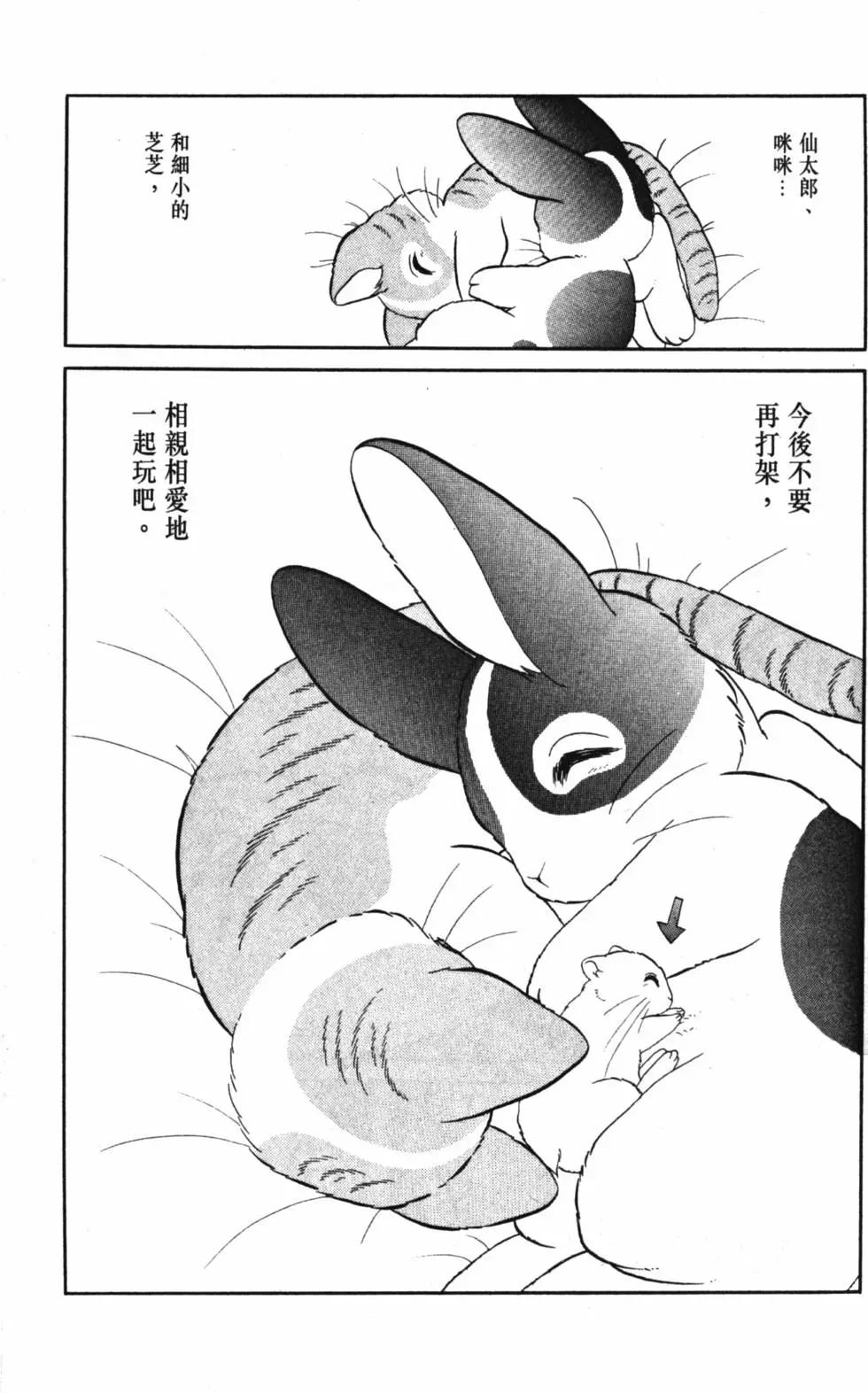 精选集闪亮亮夏之卷253