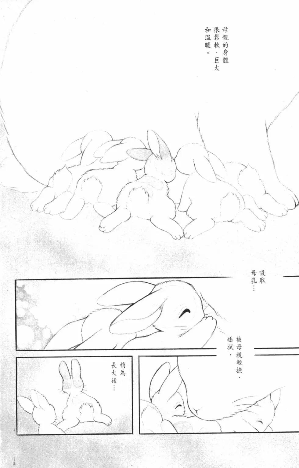 精选集闪亮亮夏之卷8