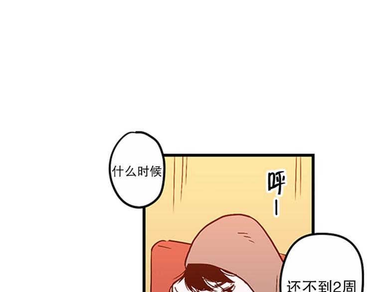 第19话 失眠27