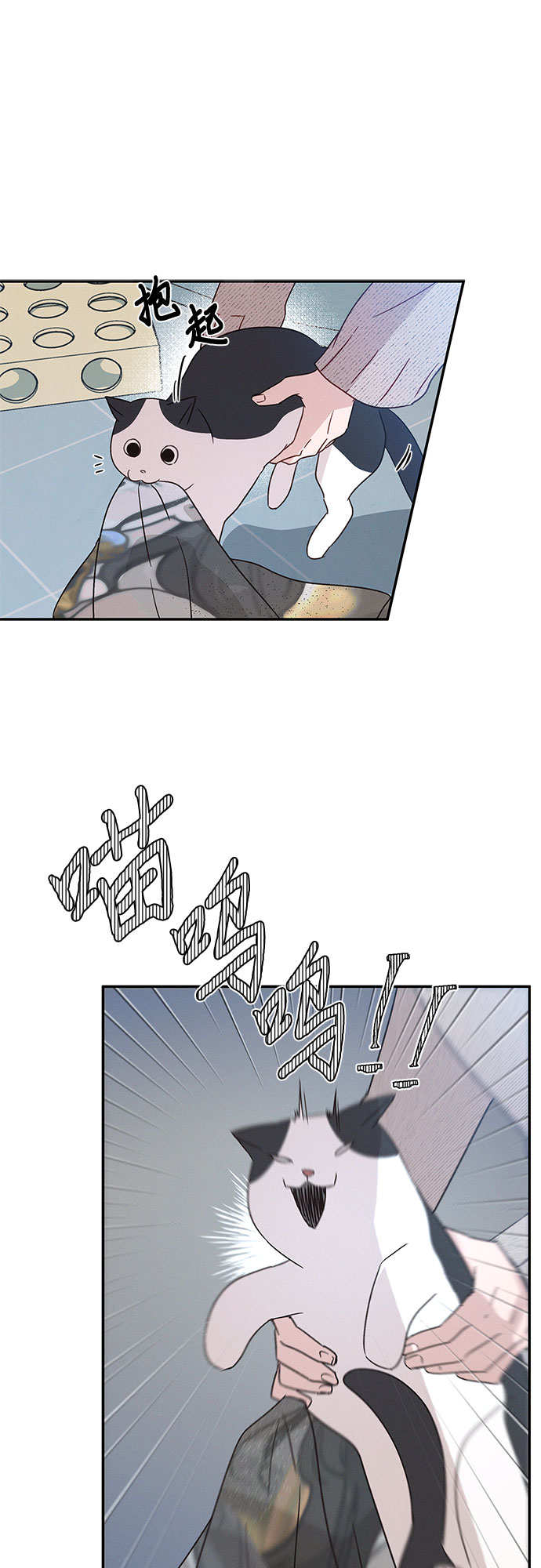 第35话51