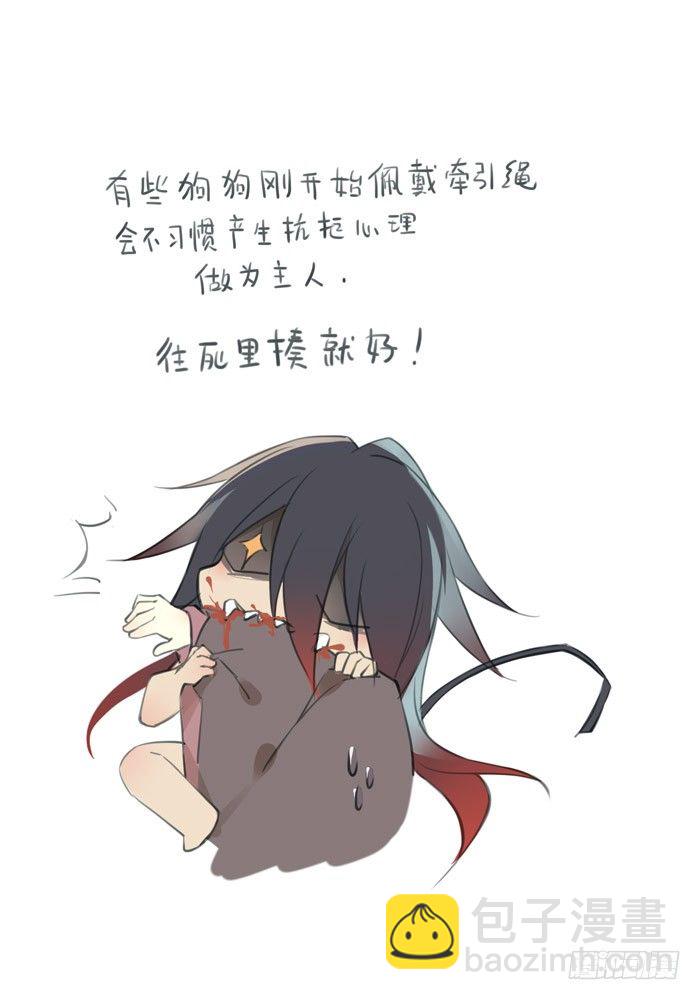 老罗的训狗手册23
