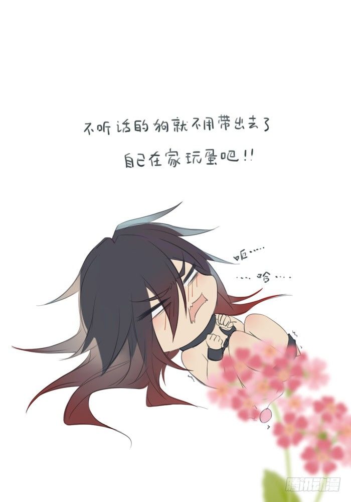 老罗的训狗手册25