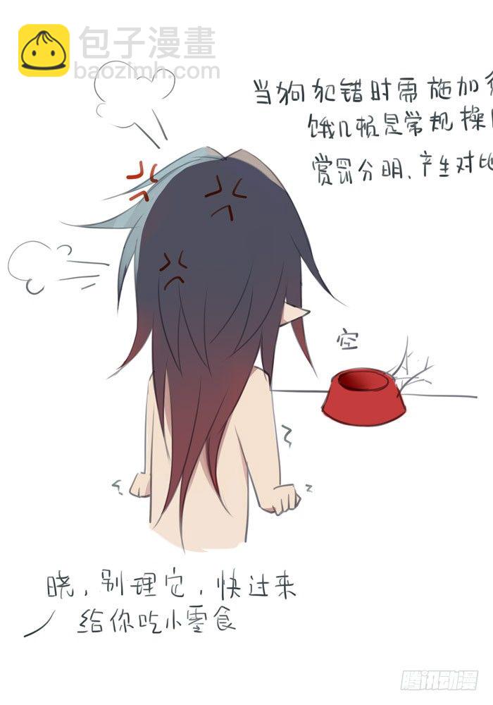 老罗的训狗手册26