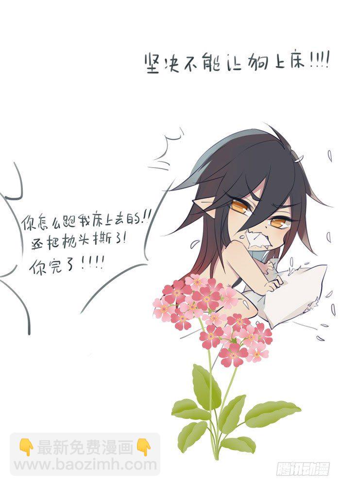 老罗的训狗手册28