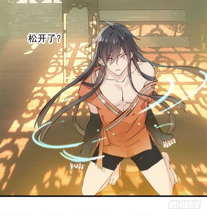 127 再来一花29