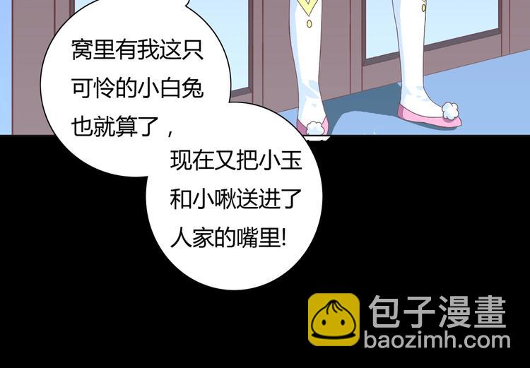 第17话 傻兔兔11
