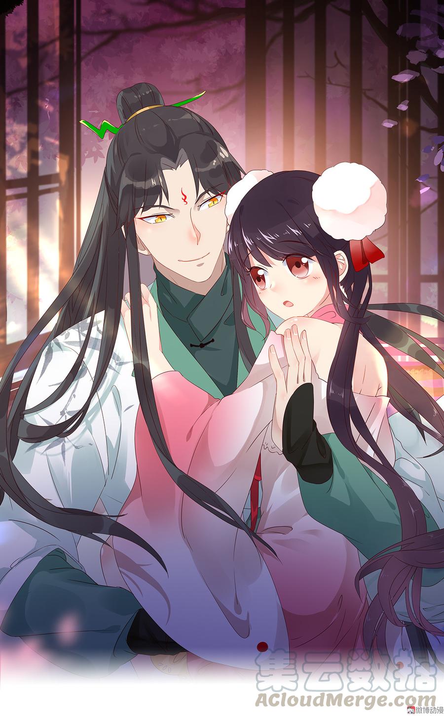 第119话 我的兔子呢？0