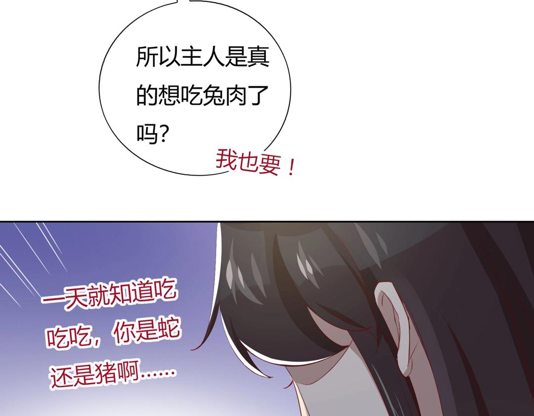 第146话 没有白小兔？12