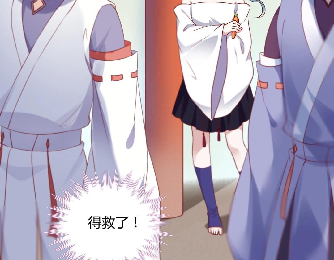 第146话 没有白小兔？30