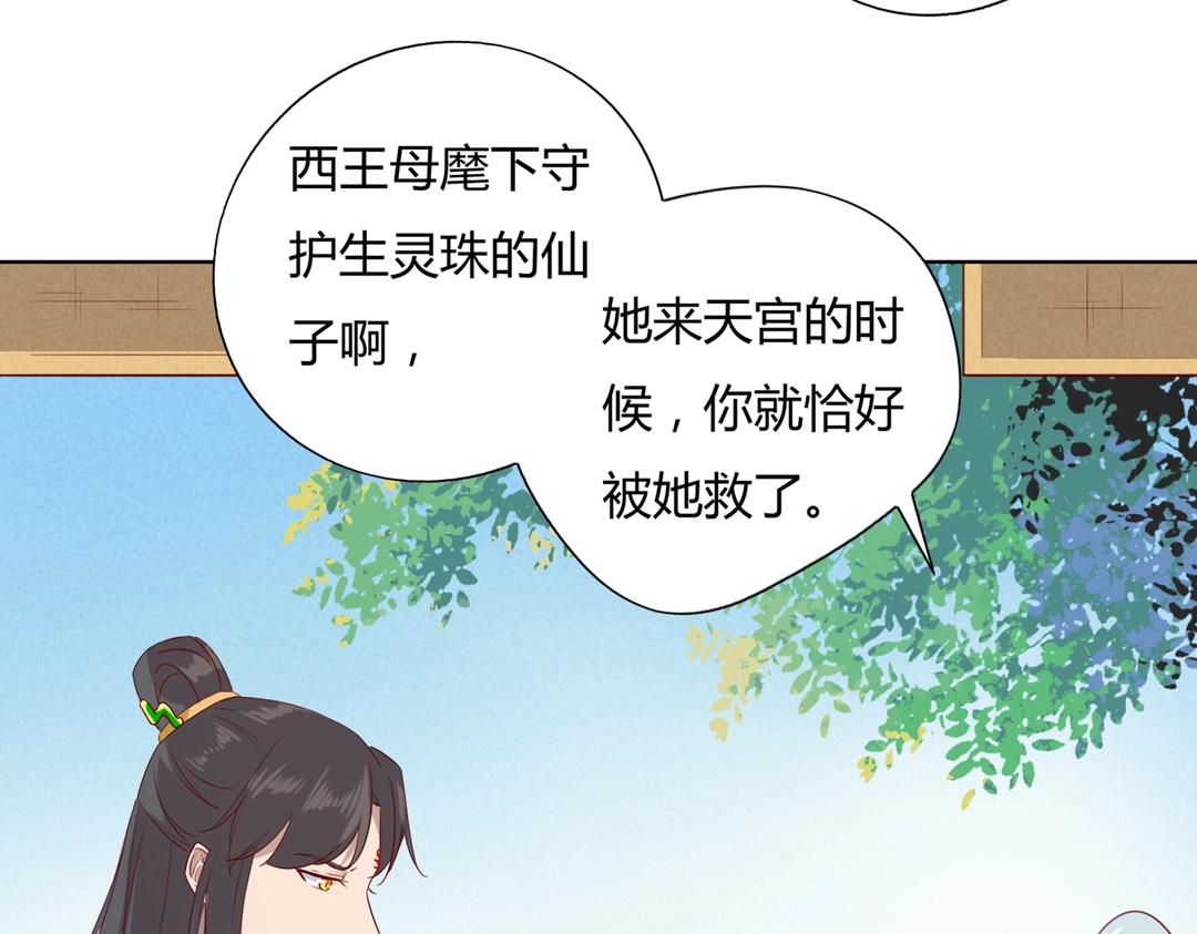 第146话 没有白小兔？46