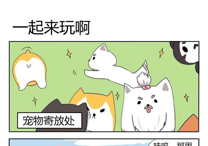 第16话 一起来玩吧0