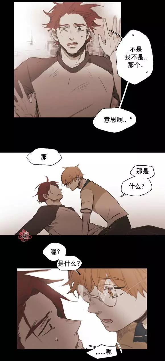 第31回17