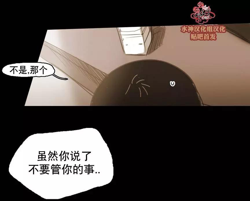 第41回12