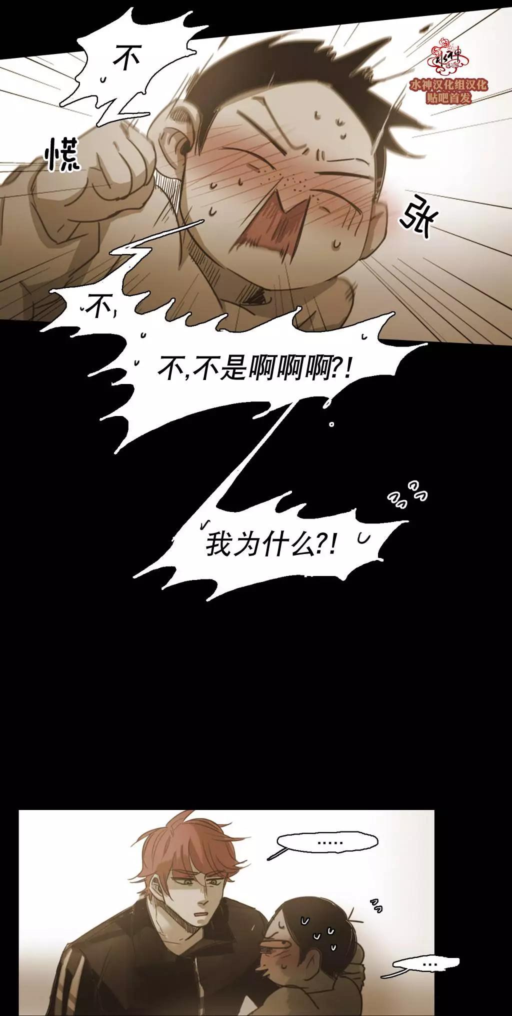 第41回5