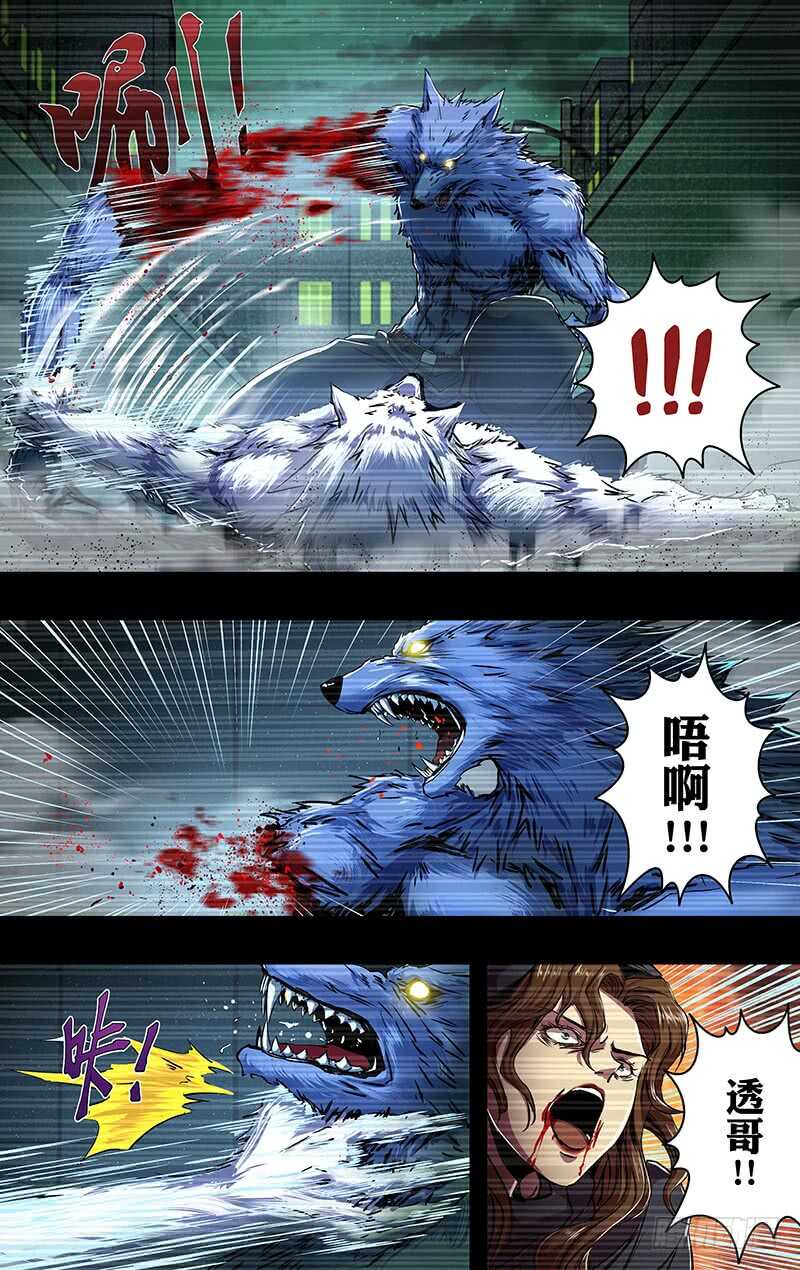 第204话（王的骄傲）6