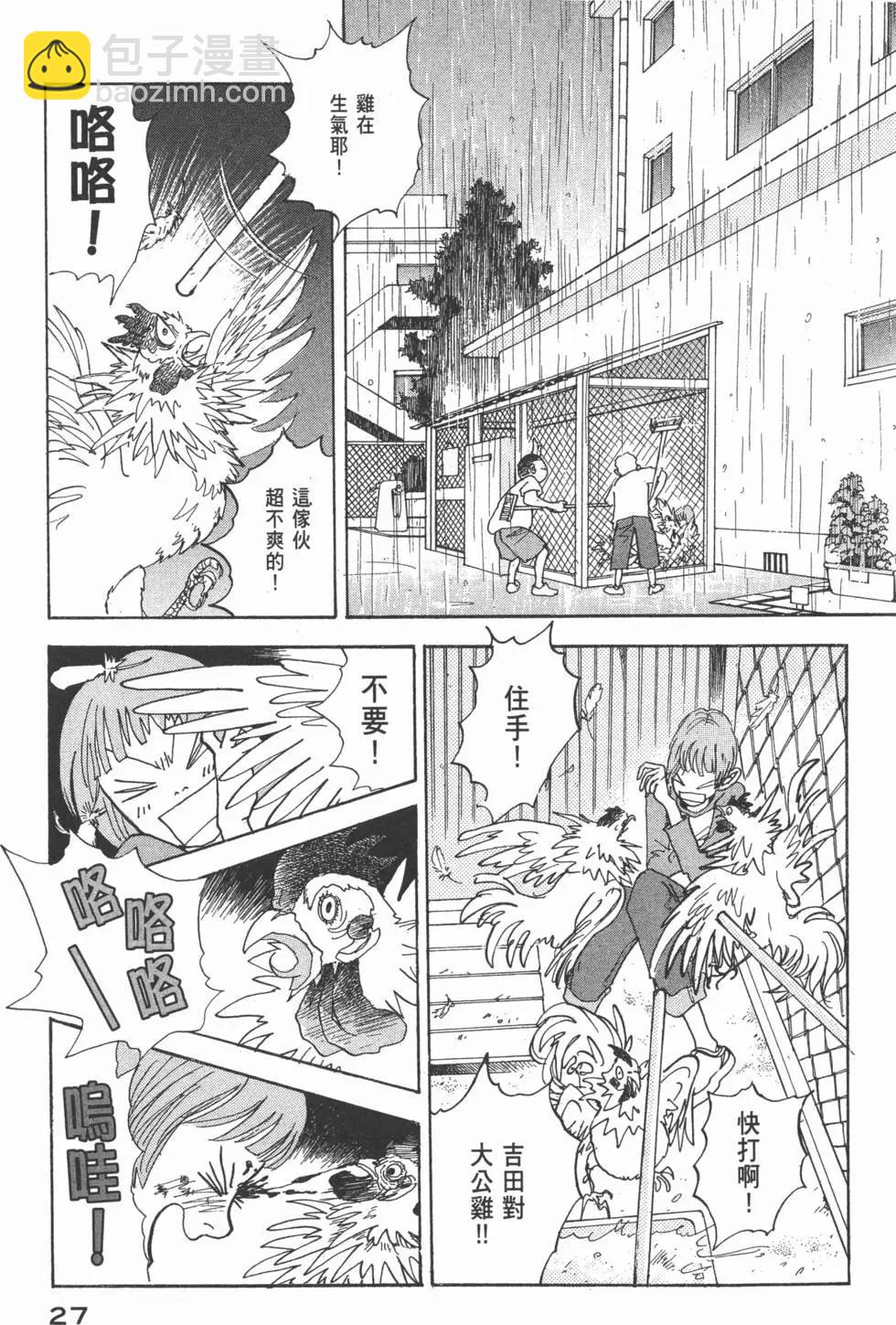 第29卷27