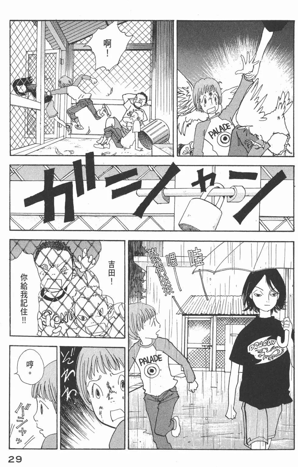第29卷29