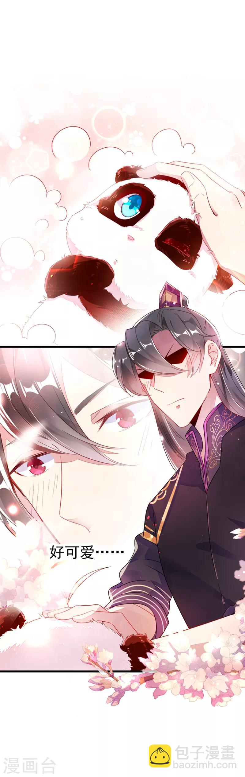 第7话 熊猫洗的白吗？7