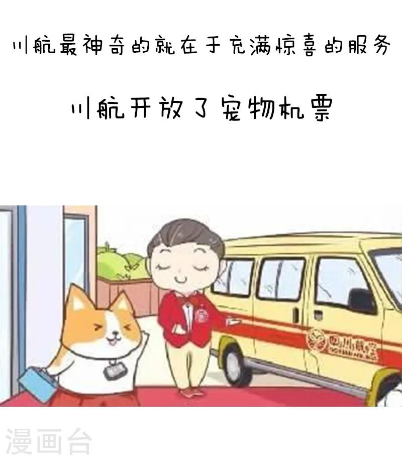 第91话 原来你是这种川航10