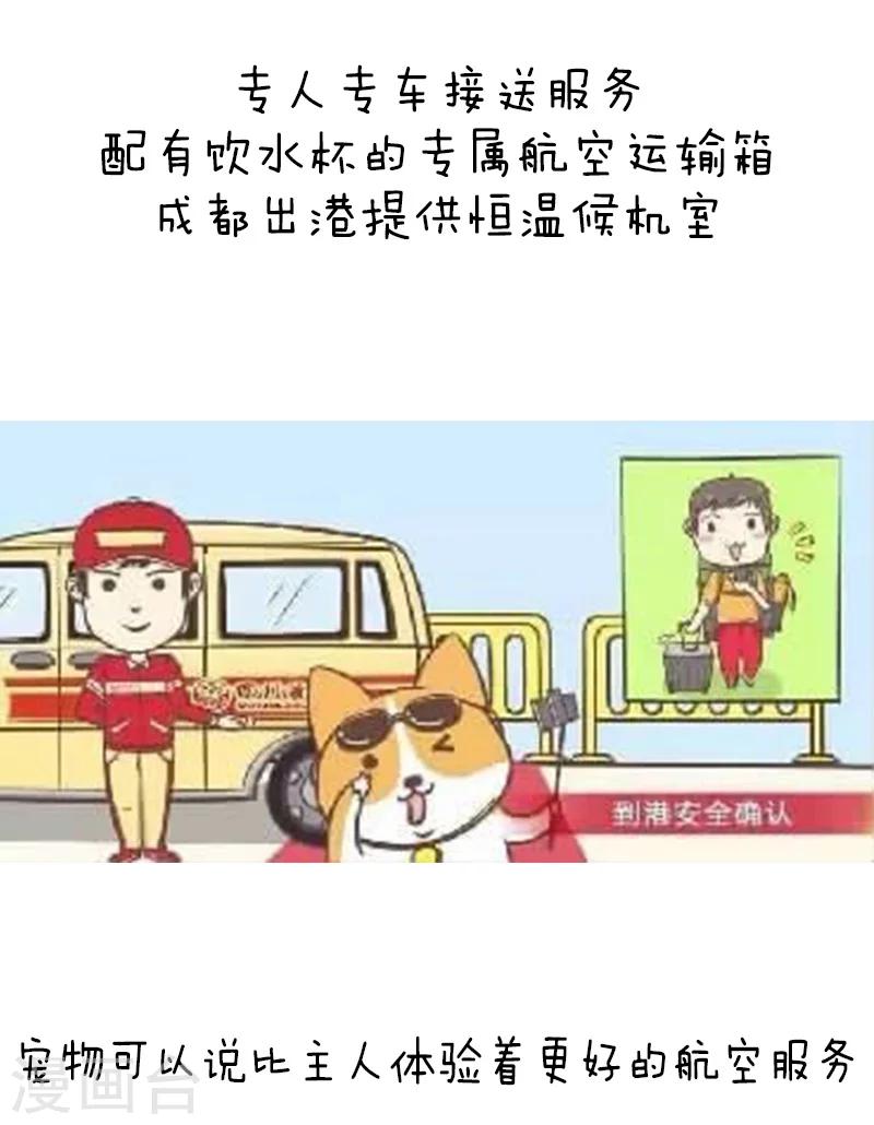 第91话 原来你是这种川航11