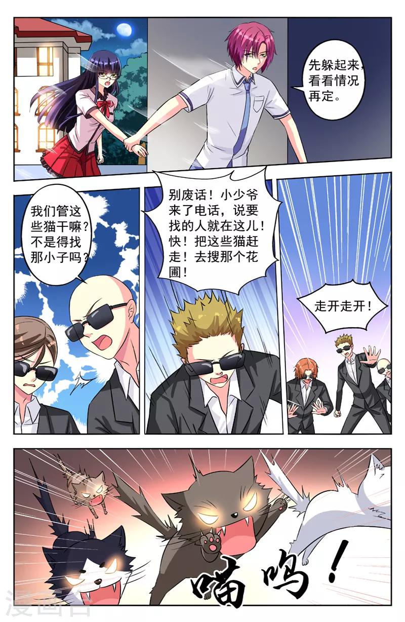 第54话 群猫2