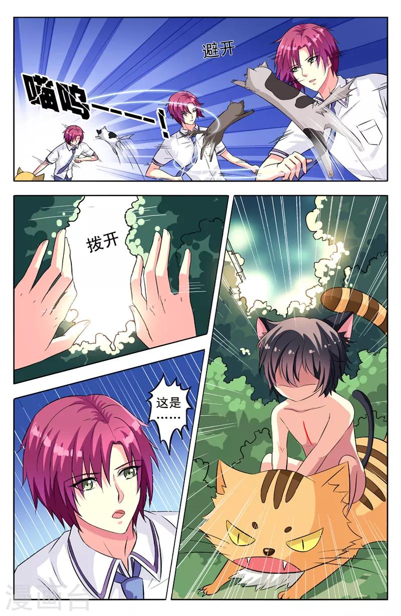 第54话 群猫5