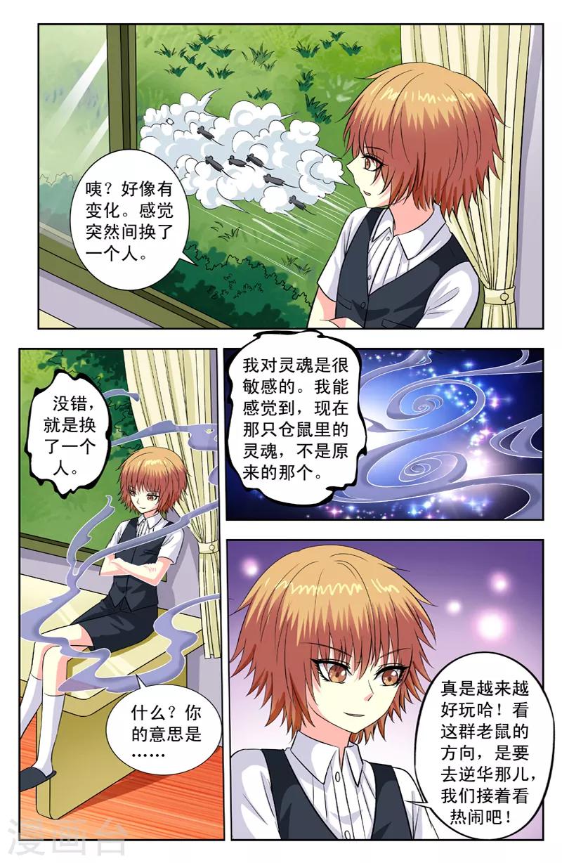 第116话 醒了0