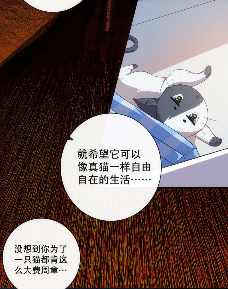 想吃东西了…55