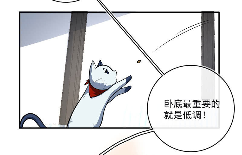 今天是个特别的日子15