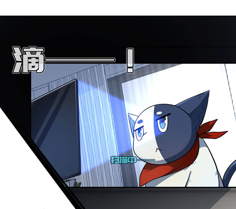 今天是个特别的日子31