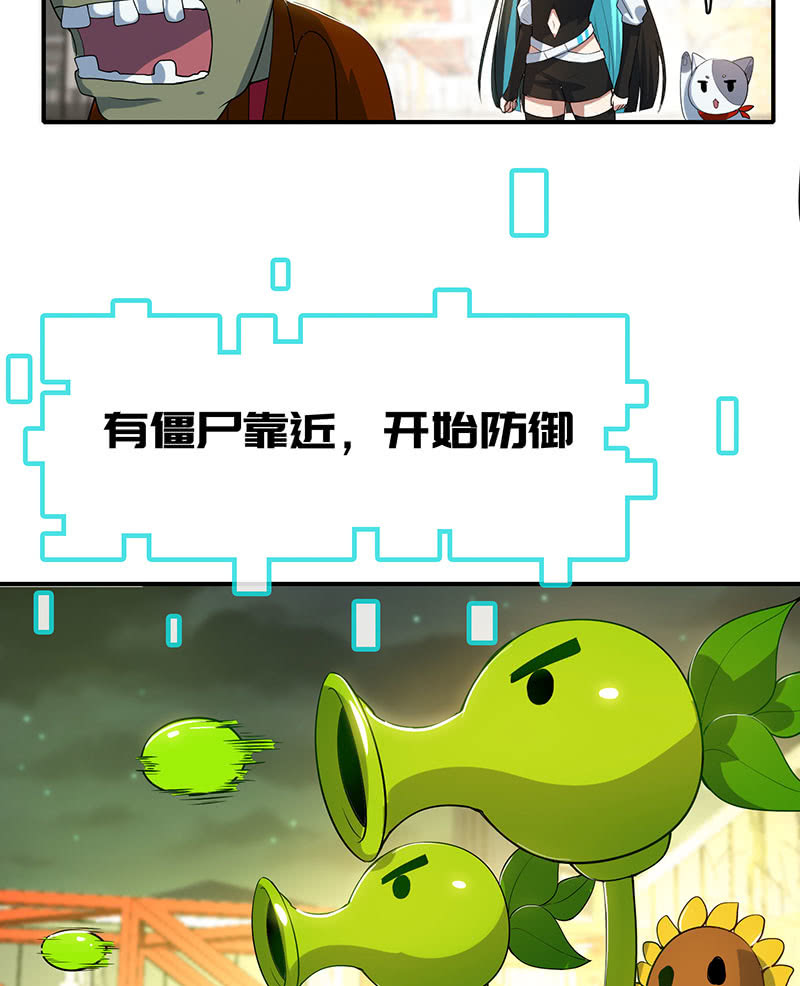 零的身份14