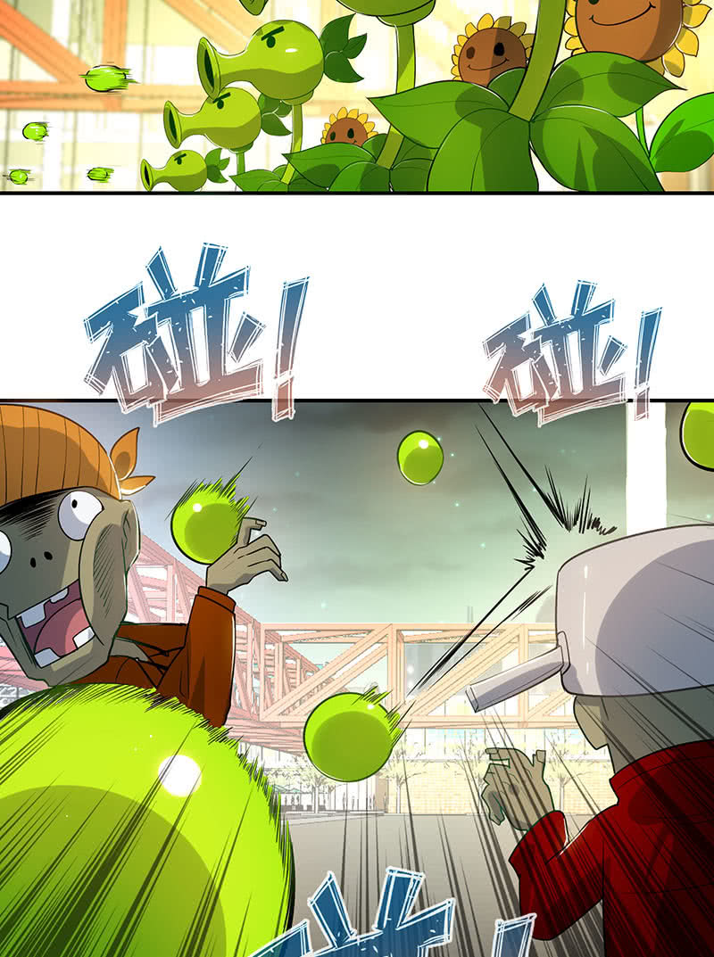 零的身份15