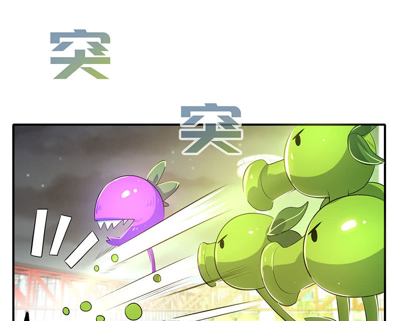 零的身份31