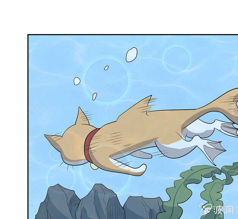 我信你40
