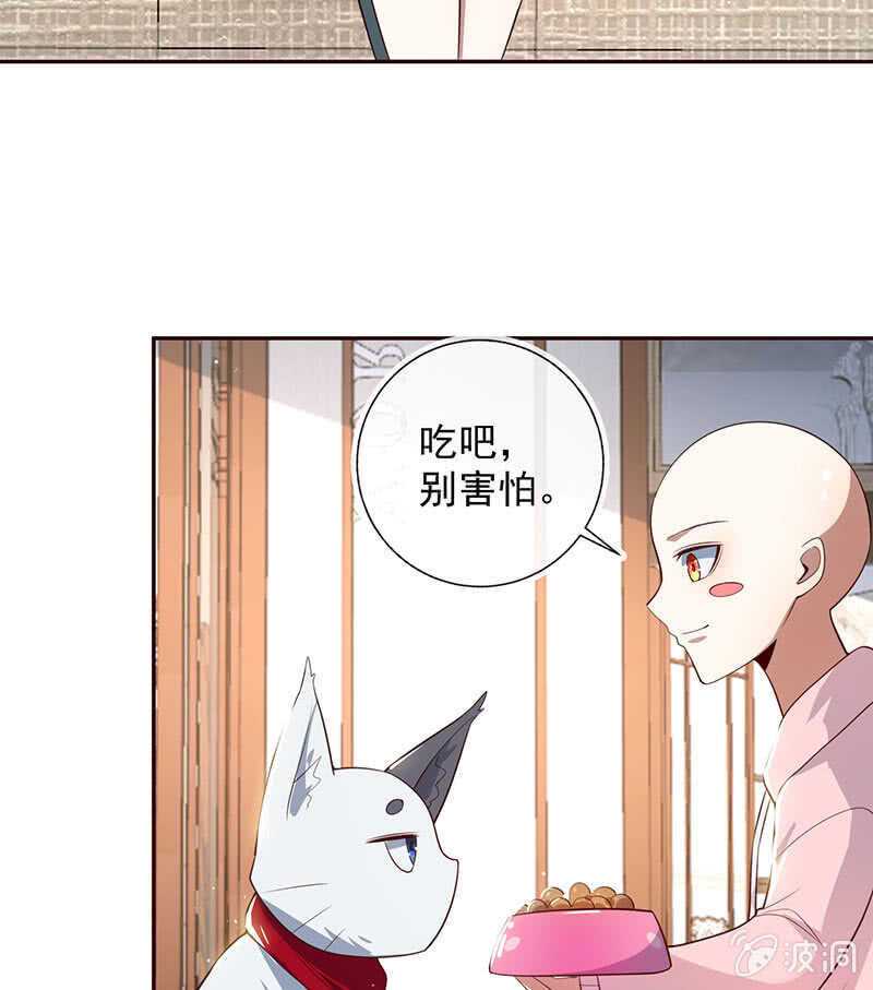 杏子和小猫咪40
