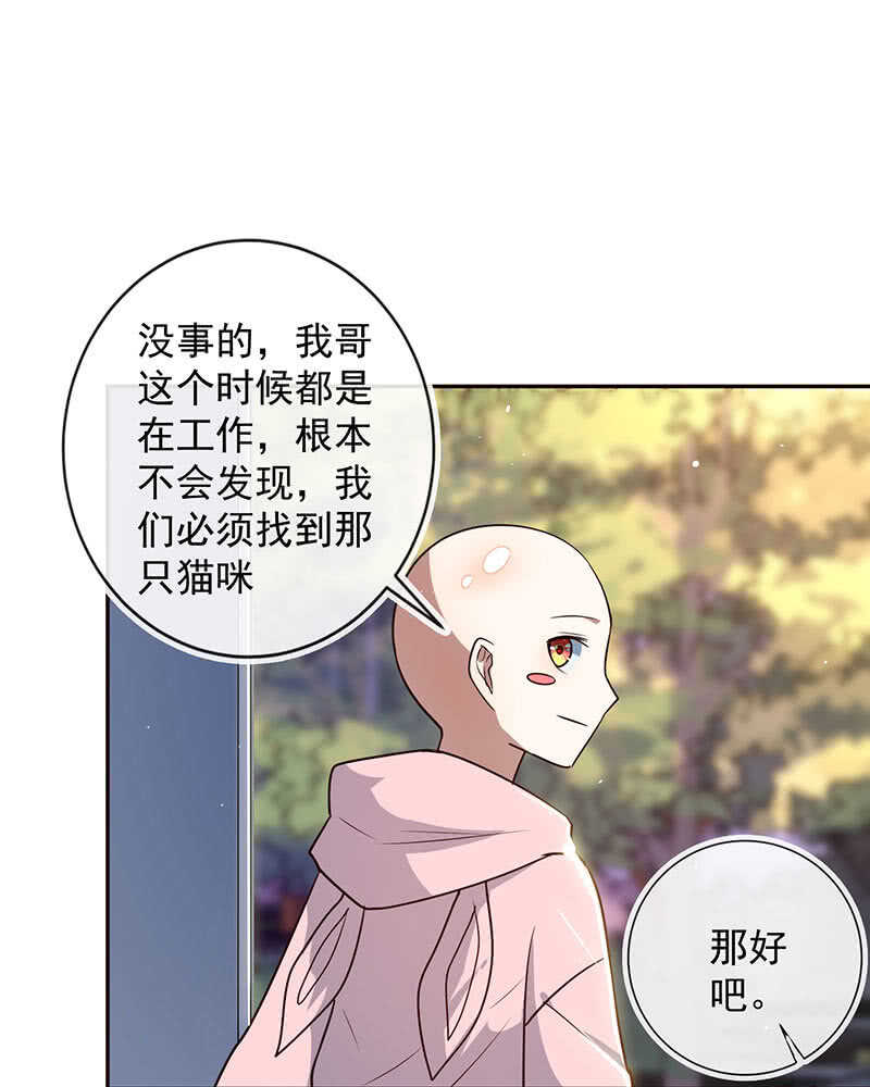 书架后的密道13