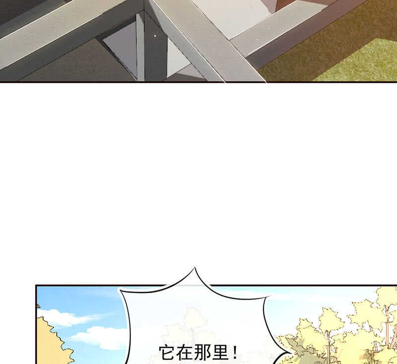 书架后的密道15