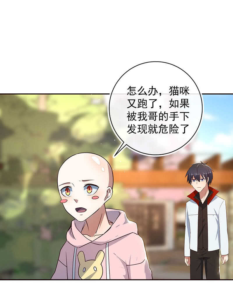 书架后的密道19