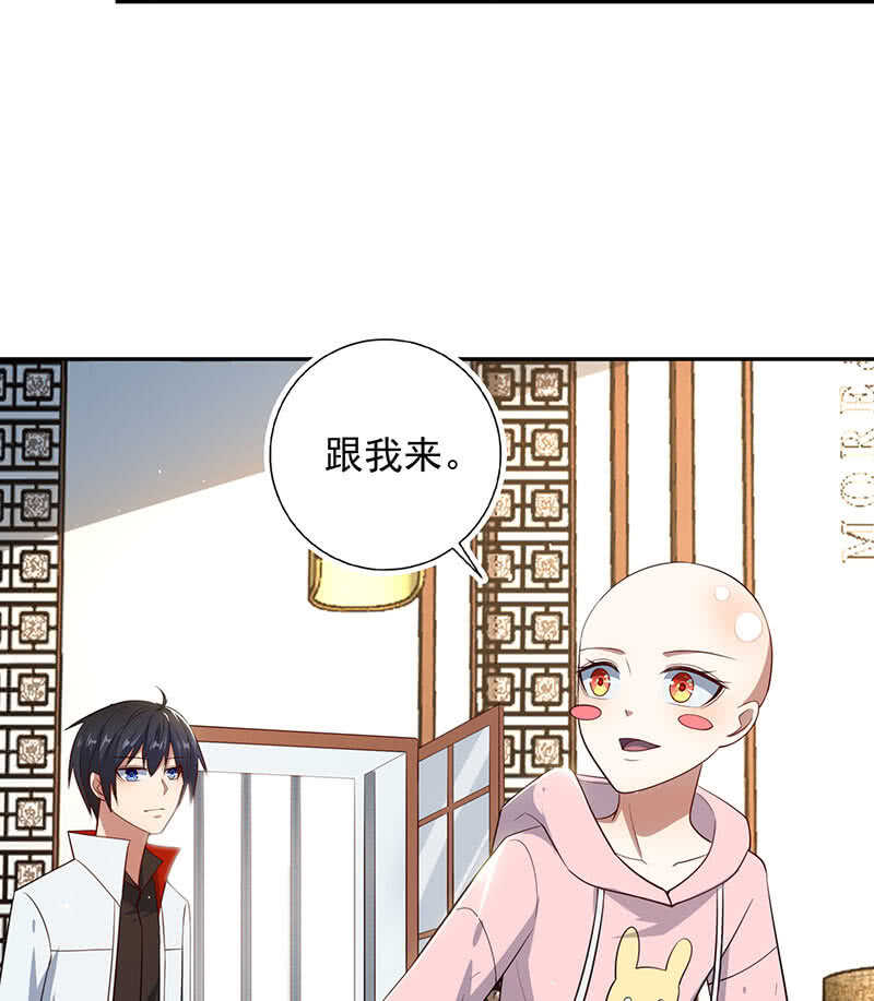 书架后的密道3