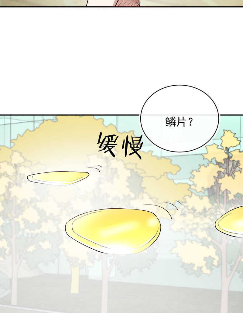终结者还是生化危机7