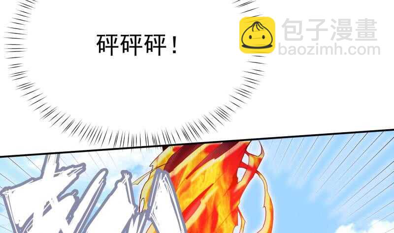 第195话 寒凤之身13