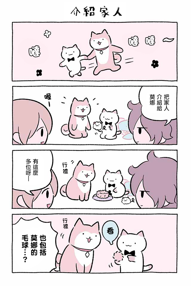 第228话5