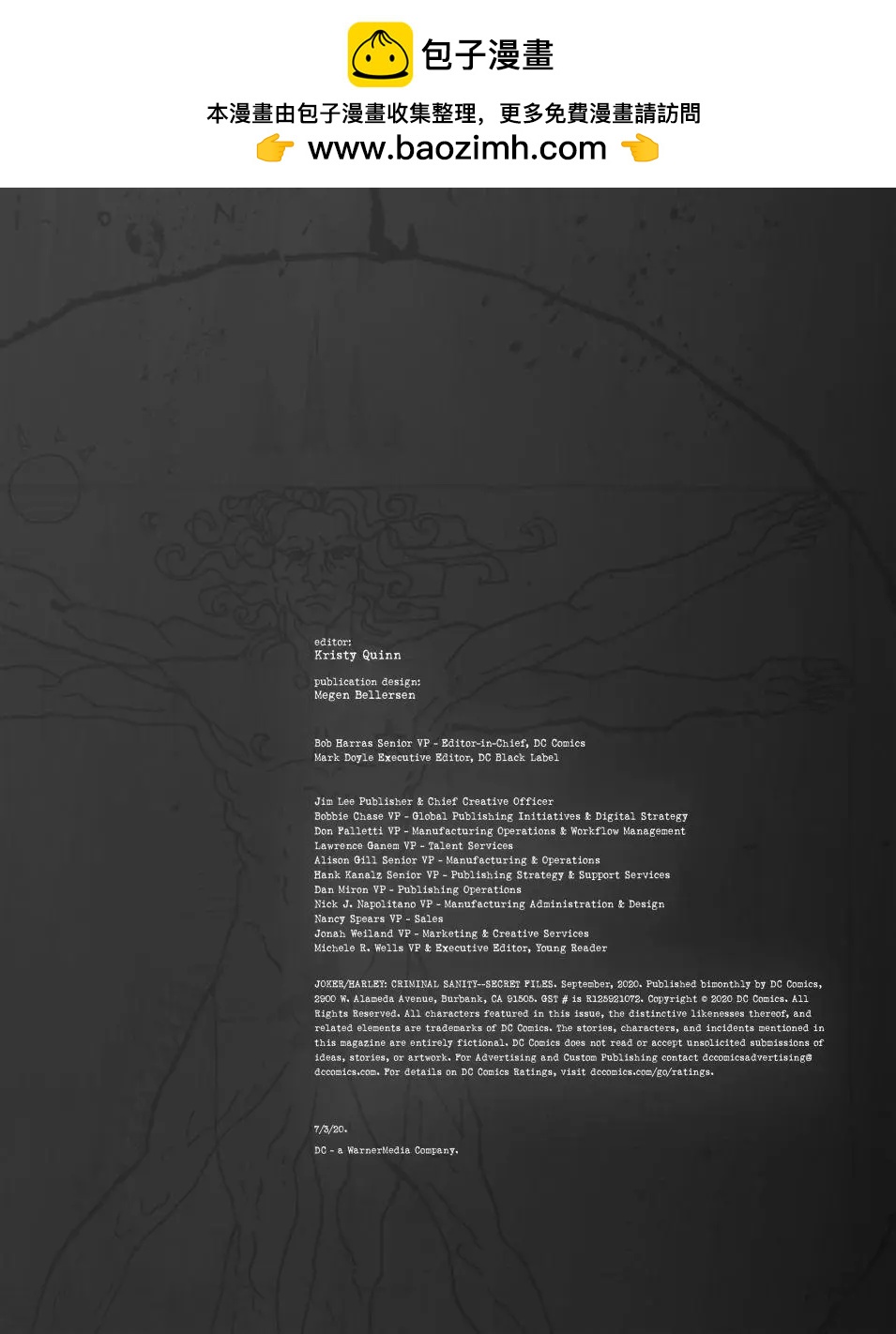 特刊：秘密档案28