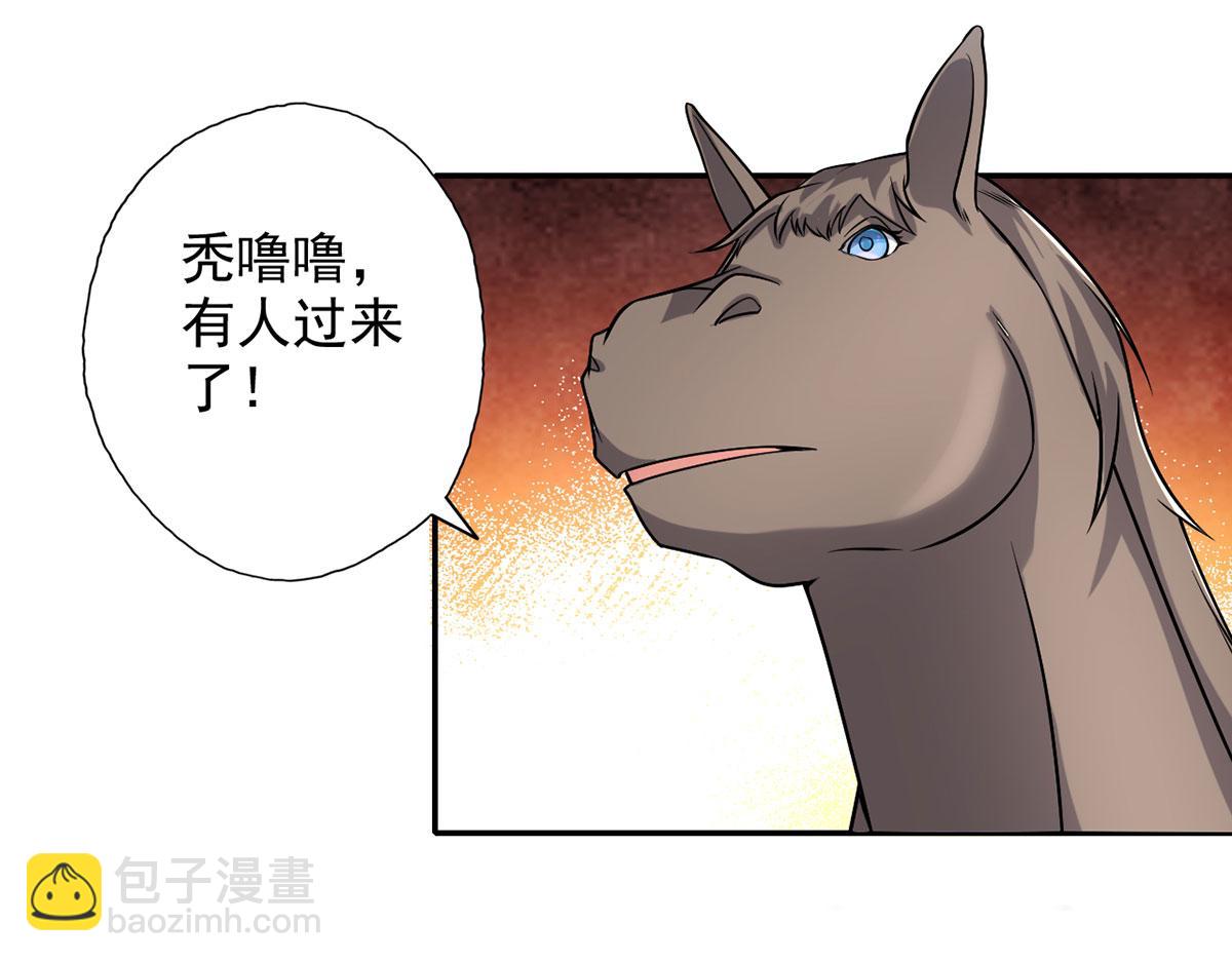 第227话 特别的人11