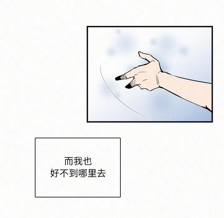 29123