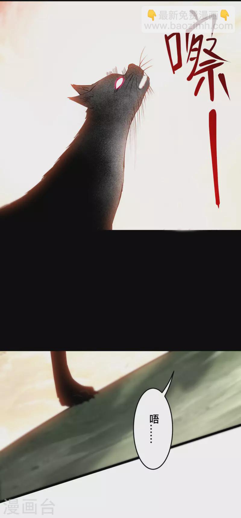 第181话 猫耳娘的眼泪13