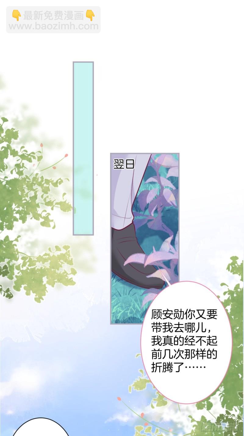包甜！顾狗再次求婚！11