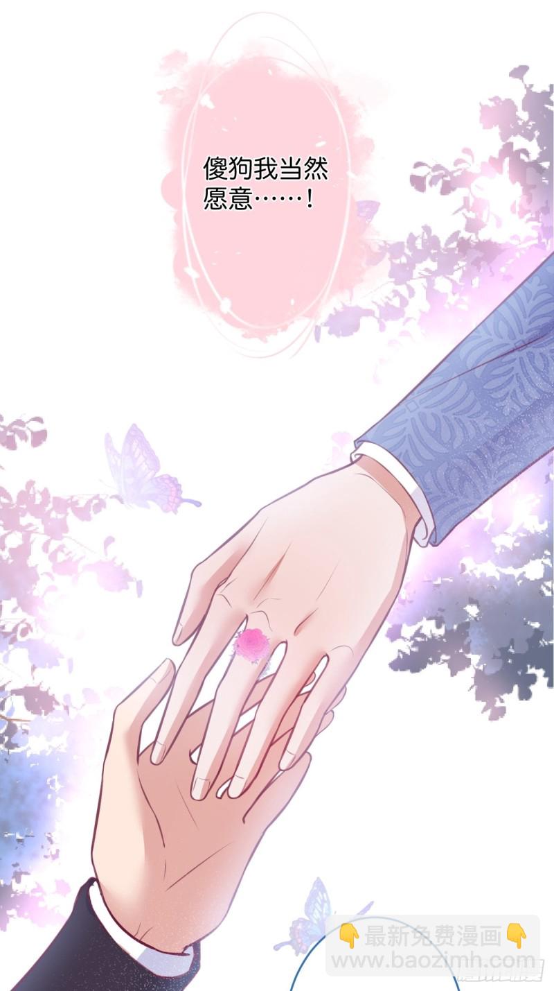 包甜！顾狗再次求婚！26