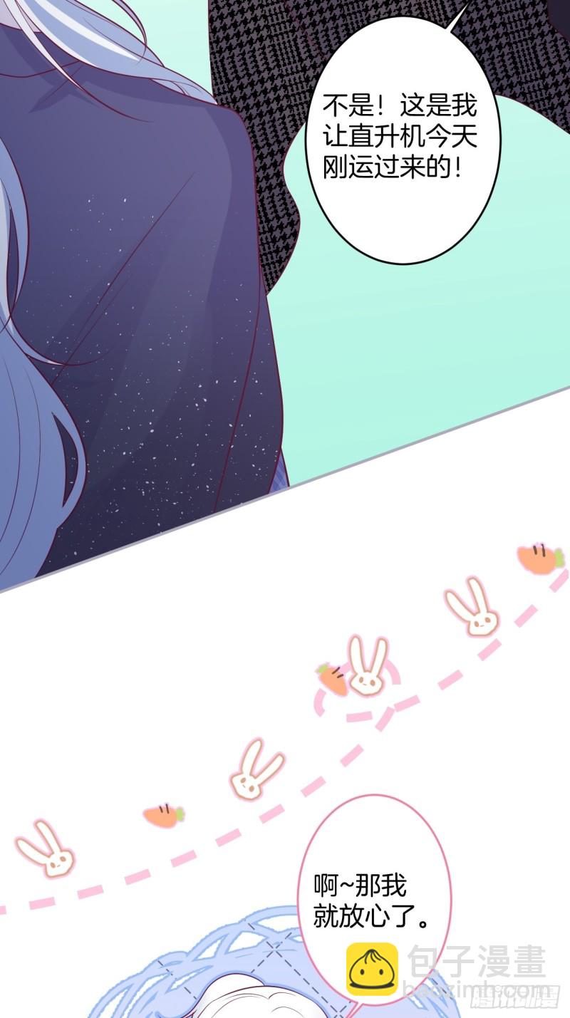 包甜！顾狗再次求婚！38