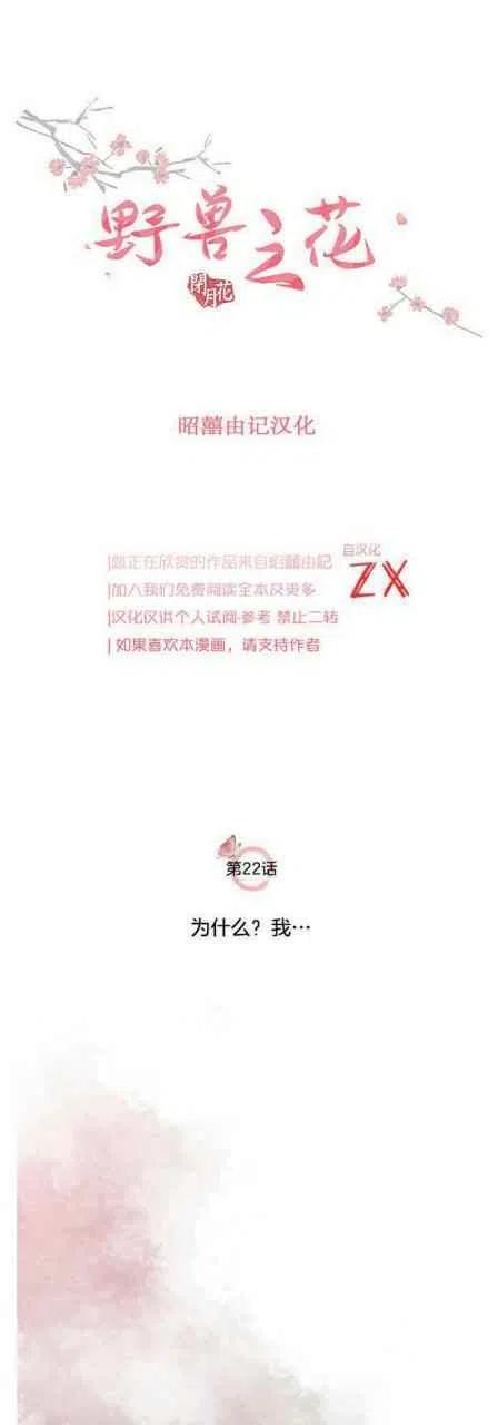 第22话4